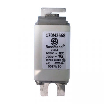BUSSMANN歐標(biāo)方體快速熔斷器170M2668